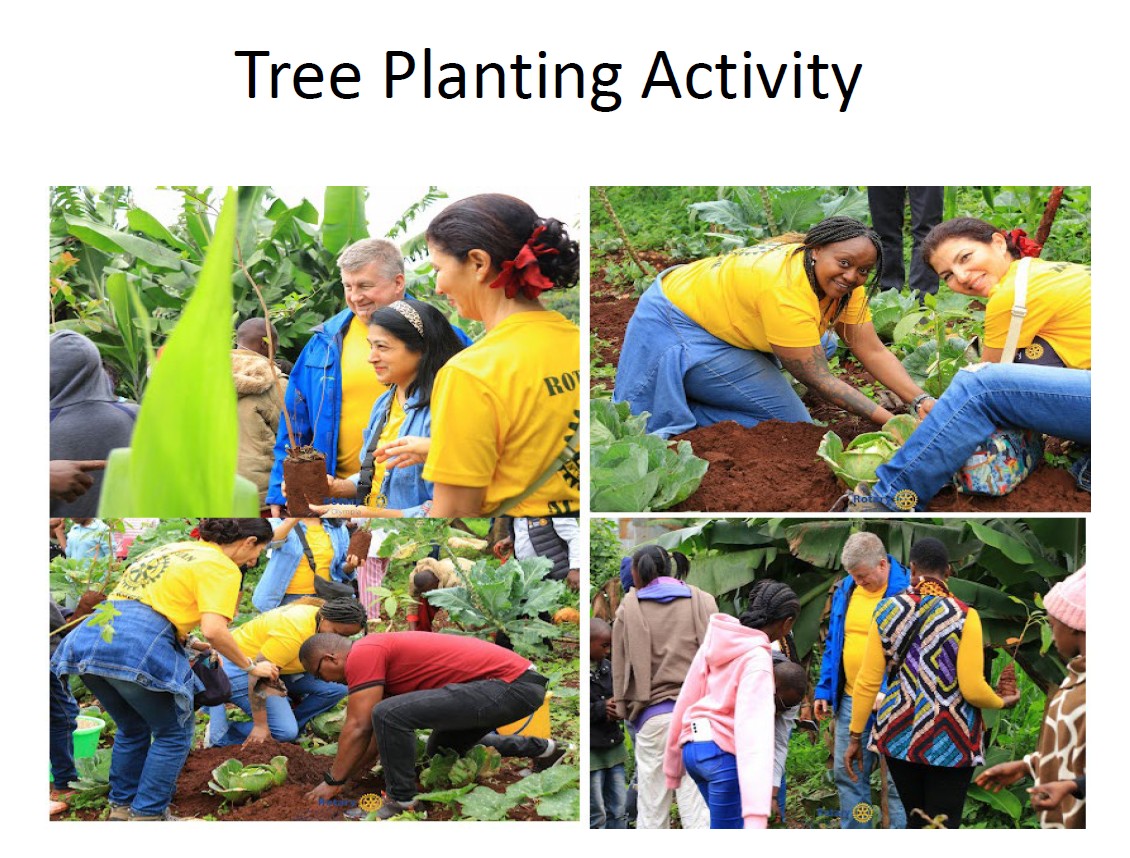 Tree Planting Activity
